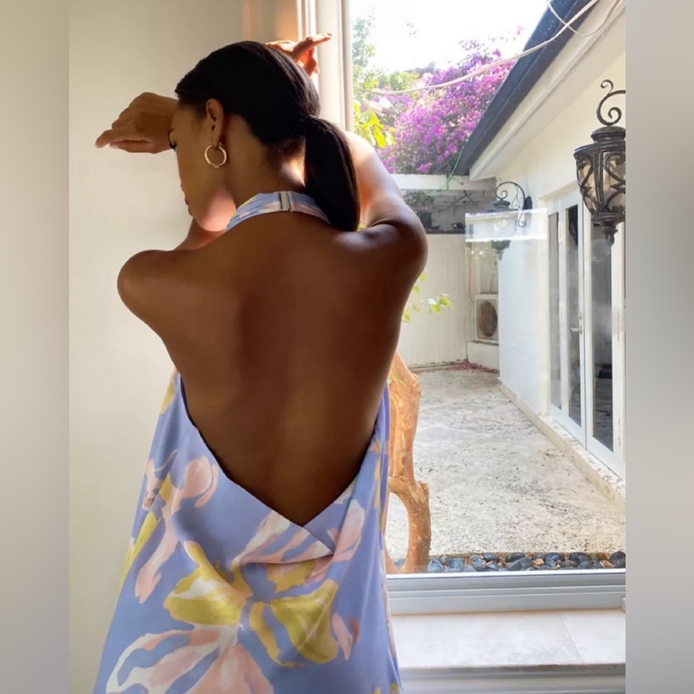 Aritzia Babaton Britannic Maxi Dress